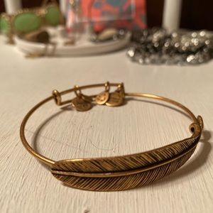 ALEX AND ANI
